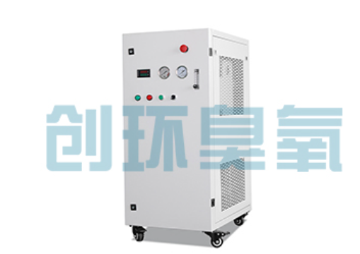 博尔塔拉石斑鱼养殖水质调控完整指南：臭氧发生器配置与操作步骤